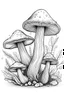 Placeholder: coloring book, mushroom,clear,no background