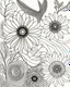 Placeholder: coloring pages: Adult coloring for calmness