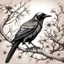 Placeholder: crow drawing with branches with flowers background