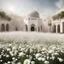 Placeholder: aqsa victory people white playing heaven flowers