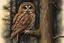 Placeholder: Brown Tawny Owl, pine tree, forest, autumn, dark night highly detailed intricate intricate details high definition crisp quality beautiful lighting pencil sketch watercolor dramatic lighting Deep shadows Warm colors warm light