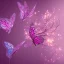 Placeholder: pink butterfly