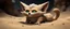 Placeholder: bugbear fox alien gremlin sand cat in burrow