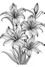 Placeholder: Outline art for coloring page, LILIES WITH STEMS, coloring page, white background, Sketch style, only use outline, clean line art, white background, no shadows, no shading, no color, clear