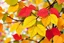 Placeholder: pop art pixels 1000 images english leaves in spring abstract damian hirst