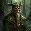 Placeholder: Generate an image of a druid called "Baldir, Eternal wisdom"