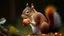 Placeholder: Adorable squirrel playing with an acorn, realistic fur texture, soft lighting, vibrant colors, playful expression, captured in a photograph by Thomas Mangelsen.