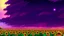 Placeholder: purple sky full of stars, sunflower field, anime, high res, makoto shinkai
