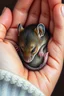 Placeholder: A pro oil painting style of a mouse peacefully sleeping in a open hand , The mouse’s fur harmonizes with the scene, that blend with the warmth of the hands , contrasting with natural hands skin