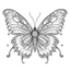 Placeholder: Butterfly coloring book