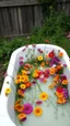 Placeholder: Bathtub filled with colorful flowers instead of water some of them are tingling down on the sided, abandoned in a the backyard