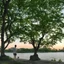 Placeholder: In the anime, a young male character is near the green lake in the sunset afternoon.