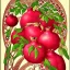 Placeholder: pomegranites in style of art nouveau