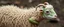 Placeholder: a sheep with no hair or wool, and green lizard like skin