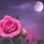 Placeholder: beautiful rose in the moonlight