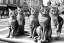 Placeholder: Mature cats are "The Beatles", playing music, street, Vienna, very friendly, sunny day, model style, hyper realistic, extremely accurate, delicate, extremely detailed, Graphic novel style, wide-angle, open aperture, superfine pencil