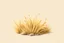 Placeholder: Isolated concept art of stylized alien dry grass on a plain neutral background. Simple low-poly design with minimal details, suitable for 3D modeling. The grass should look slightly alien — with unusual blade shapes, subtle color variations, and dry, brittle texture. Colors range from dusty yellow, ochre, muted green, and pale orange, blending naturally with desert or rocky terrain. No background, no shadows, clear separation of each grass clump, consistent lighting. Digital painting style