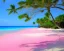 Placeholder: beach, hot, relaxed, colorful, shopping, warm, sand, palm, golf, island, blue, green, pink, happy, tan,