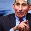 Placeholder: dr. Anthony fauci eating a bat