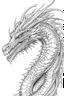 Placeholder: coloring image of dragon, line art, realistic, white background