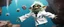 Placeholder: crazy fluffy gremlin scientist in lab coat cliff diving
