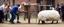 Placeholder: people using a battering ram that looks like a sheep