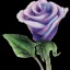 Placeholder: purple flower, glossy anime