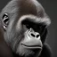 Placeholder: Gorilla unreal 5, octane render,cinema4d, dynamic lighting, dramatic lighting, 4k, redshift render, highly detailed, hyper realistic, in space