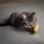 Placeholder: Cat eating a potato