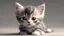 Placeholder: a tiny kitten, high definition, ultra realistic, high quality, 8K