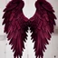 Placeholder: burgundy angel wings