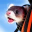 Placeholder: close-up of a ferret wearing jumpsuit with parachute, jumping out of a plane, skydive, sunlit sky, intricate, ultra-fine detailed, 8k, high-quality, 3d, realistic, digital art, detailed matte, brian froud, howard lyon, selina french, anna dittmann, annie stokes, lisa parker, greg rutowski,