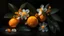 Placeholder: orange fruits and white neroli flowers,dark backround,12K