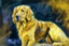 Placeholder: style of Frank Auerbach, Golden retriever dog