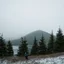 Placeholder: A polaroid photo of a group of fir trees in the background and a high hill in the distance. A person. A lake. The surface below is in a pastel color. Fog is present.