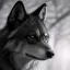 Placeholder: in Forest under vampire award winning portrait of a maleunreal 5, octane render, cinema4d, dynamic lighting, dramatic lighting, 4k, redshift render, highly detailed, hyper realistic,anthropomorphic black wolf long