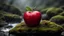 Placeholder: A breathtaking award-winning photo of A red apple sitting on a wet rock covered with moss. The image showcases naturalism . The background emphasizes the apple body creating a bright and powerful composition,,dramatic scene