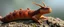 Placeholder: portrait of wild dragon slug above byzantes