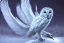 Placeholder: snow winged OWL