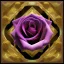 Placeholder: Crystal Rose