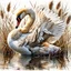 Placeholder: 6,majestic swan with fluffed wings hiding within reeds and bull-rushes, their feathers shimmering with an ethereal glow, gazing intently into the distance. The surrounding mirror pond is bathed in soft sunlight, casting long shadows. PAINTING WITH WHITE SPACE, Carne Griffiths, WLOP, fine-tuned stylised watercolour encircled by splashy white space photorealistic ChatGPT.