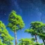 Placeholder: lush trees against a stary sky