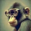 Placeholder: retro film grain monkey with glasses profile picture