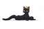Placeholder: anime black cat on white background, sitting, wearing a crown