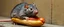 Placeholder: rat hot dog