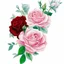 Placeholder: roses high contrast, vector ink