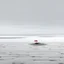 Placeholder: A captivating hyper minimalist photograph of a barren snow-covered field on a grey day. Concept art, The overall color palette is muted. In the distance there is a single red beach umbrella in ground. The field stretches out in a long view creating a sense of isolation and desolation.