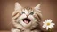 Placeholder: laughing cat on the Broun background with little flower