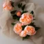 Placeholder: cinematic shot of peonies made from peach tulle in a glass bowl, warm lighting, soft lighting, sun light effects, linen, luxurious