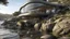 Placeholder: Building with organic design that blends into the rocky surroundings at the water's edge